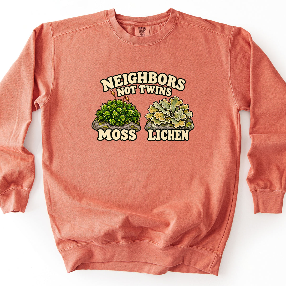 Neighbors Not Twins Comfort Colors crewneck sweatshirt in Terracotta, laid flat. Cream retro letters read Neighbors Not Twins above two rocks, one topped with green moss and two spore stalks labeled Moss, the other with ruffled pale green lichen labeled Lichen. On a white background.