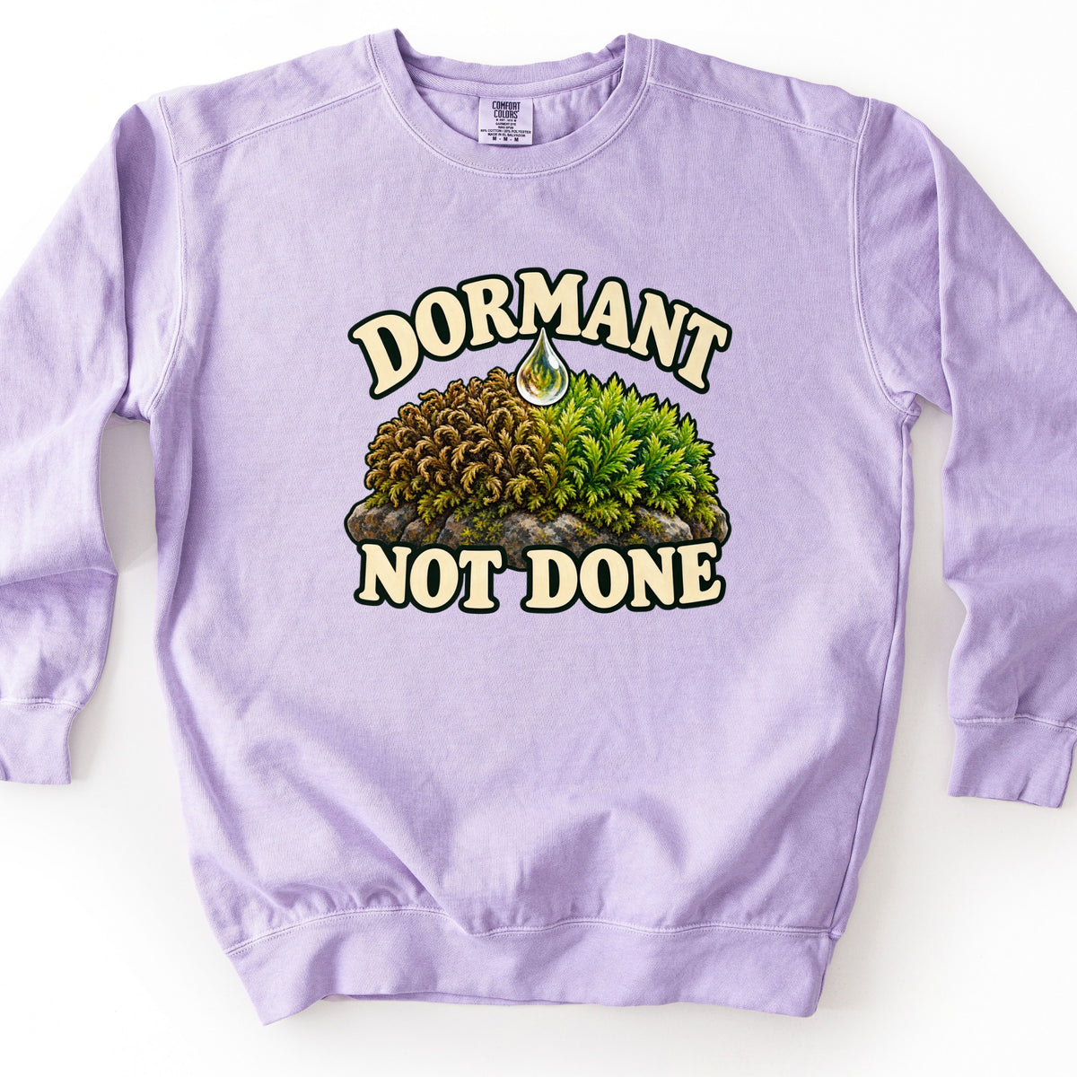 Dormant Not Done Comfort Colors crewneck sweatshirt in Orchid, laid flat. A water droplet falls onto a clump of moss on a rock, dry and brown on the left and bright green on the right, between the words DORMANT and NOT DONE in cream lettering. It lies on a white surface.