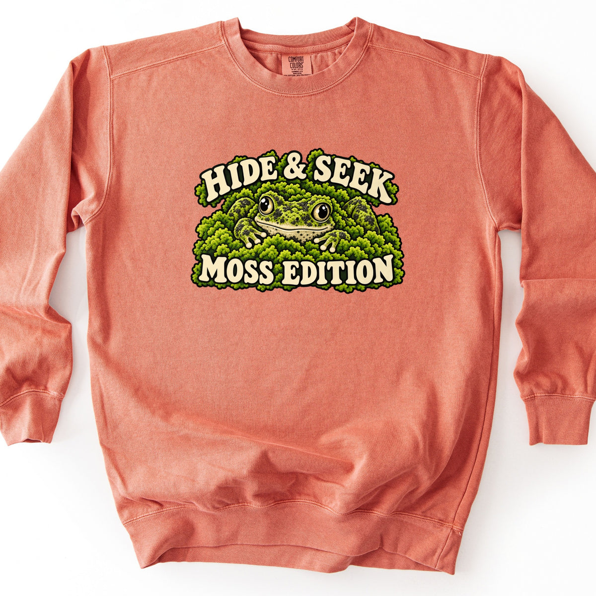 Hide & Seek Moss Edition Comfort Colors crewneck sweatshirt in Terracotta, laid flat. A green, dark-spotted toad peeks out of bright green moss between cream arched letters reading Hide & Seek above and Moss Edition below. The sweatshirt lies on a white background.