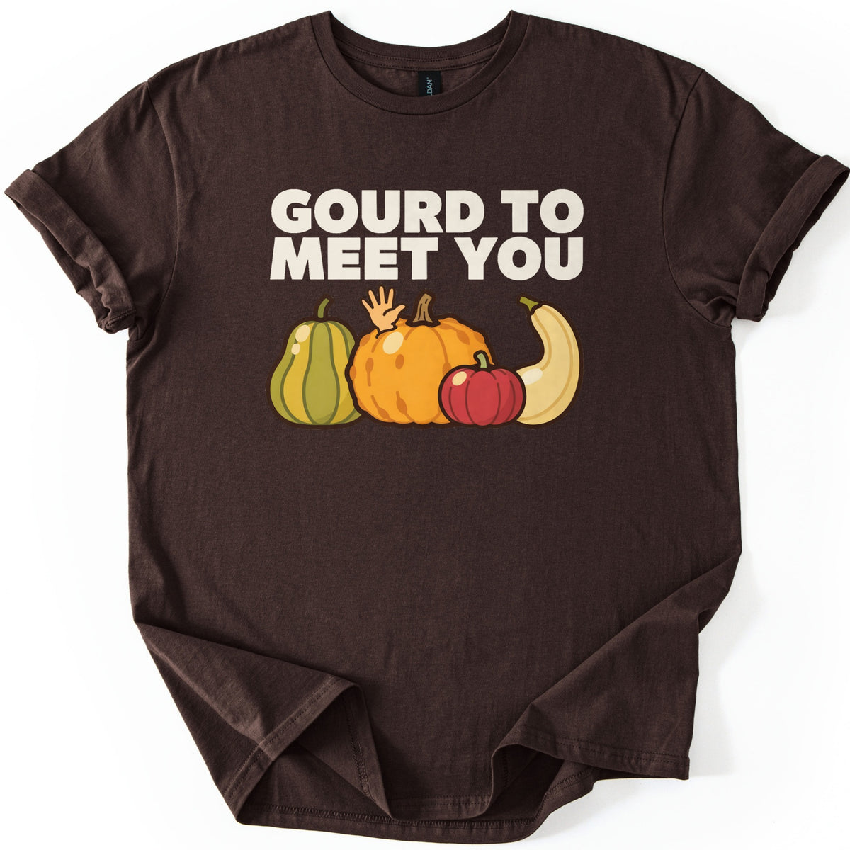 Gourd To Meet You Comfort Colors T-shirt in Dark Chocolate, laid flat. Cream block letters read GOURD TO MEET YOU above cartoon gourds: a green striped squash, a bumpy orange pumpkin with a hand waving behind it, a small red pumpkin and a curved cream squash. Sleeves cuffed, on white.