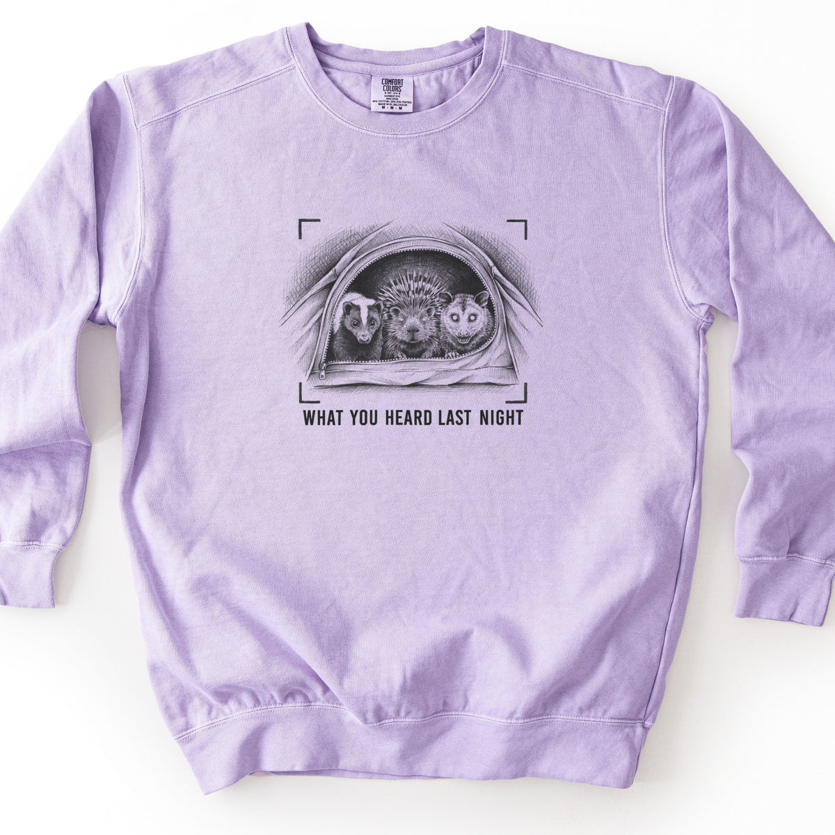 What You Heard Last Night Comfort Colors crewneck sweatshirt in Orchid, laid flat. A sketched skunk, porcupine and grinning opossum peek out of an unzipped tent inside camera viewfinder corners, above the words What You Heard Last Night in black ink. Shown on a white background.